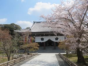 春の智積院