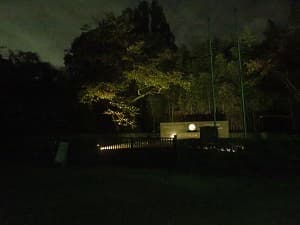 薄っすら光るエジソン記念碑