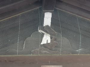 御幣を担いだ猿