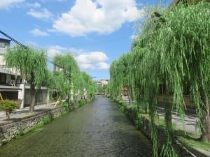 白川と枝垂れ柳