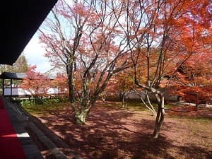 人が写っていない妙覚寺法姿園の写真