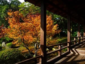 大覚寺の紅葉