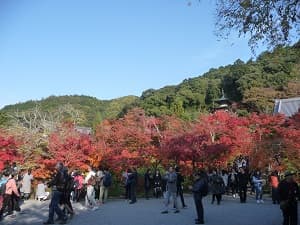 たくさんの人が写ってしまう永観堂