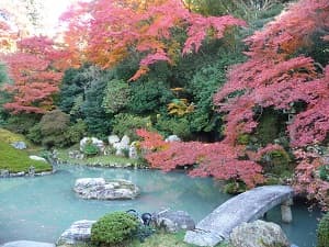 秋の青蓮院