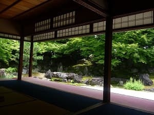 圓徳院の北庭