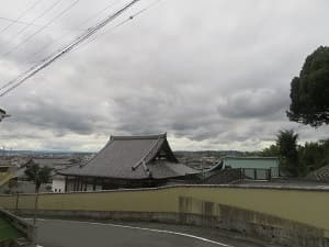 見下ろす境内