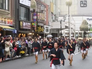 毛槍と大鳥毛