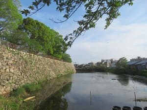 淀城跡の石垣と堀