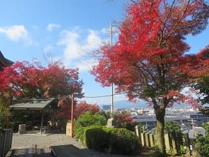展望台の紅葉