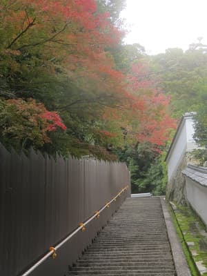 智慧乃道の紅葉