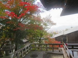 御廟から見る紅葉