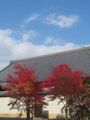 青空と屋根瓦と紅葉