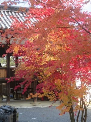 紅葉と渡り廊下