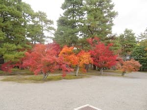建春門付近の紅葉