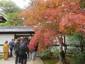 たくさんの拝観者と紅葉