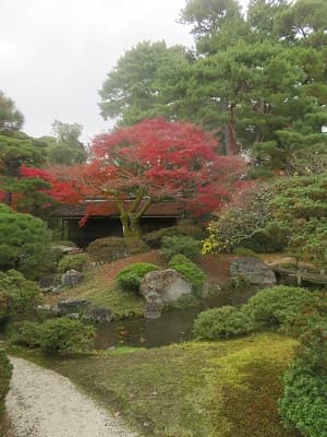 木々に囲まれた紅葉