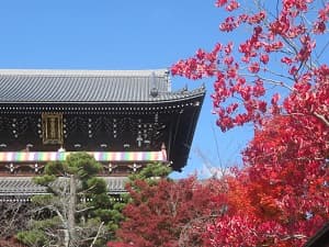 見上げる紅葉と山門