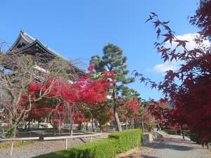 山門付近の紅葉