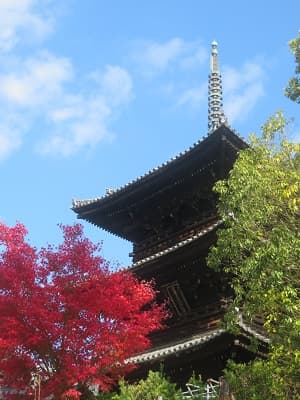 三重塔と紅葉
