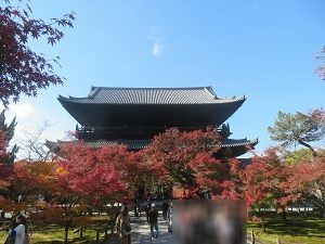 三門裏側の紅葉