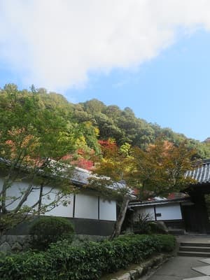 参道から見る山