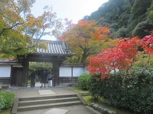 山門と紅葉