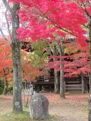 三重塔下の紅葉