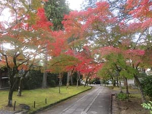 無人の参道と紅葉