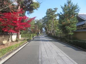 参道の西側の紅葉