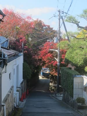 旧粟田山荘の紅葉