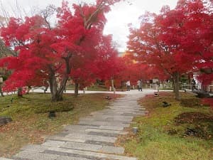 石畳と紅葉