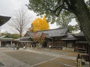 社務所とイチョウ