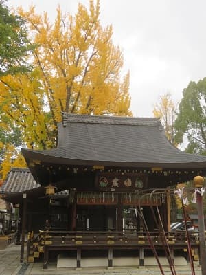 拝殿とイチョウ