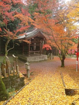 散ったイチョウの葉と鐘楼