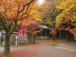 鐘楼付近の紅葉