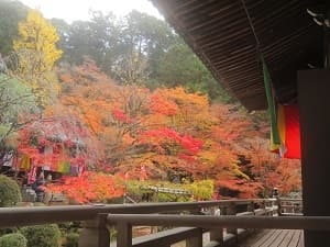 本堂わきから眺める紅葉
