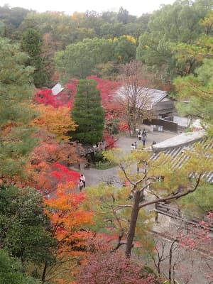見下ろす境内の紅葉