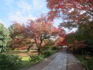 参道の紅葉