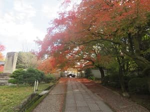 参道わきの紅葉