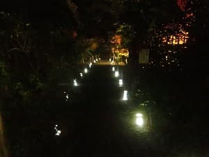 等間隔に並ぶ行灯