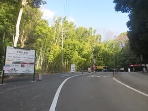 午年の元旦に石清水八幡宮に初詣に行った・2026年 | 京都観光旅行の