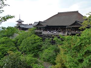 香川発や徳島発の京都ツアーは高速バスとjrを利用 京都ホテルサーチ